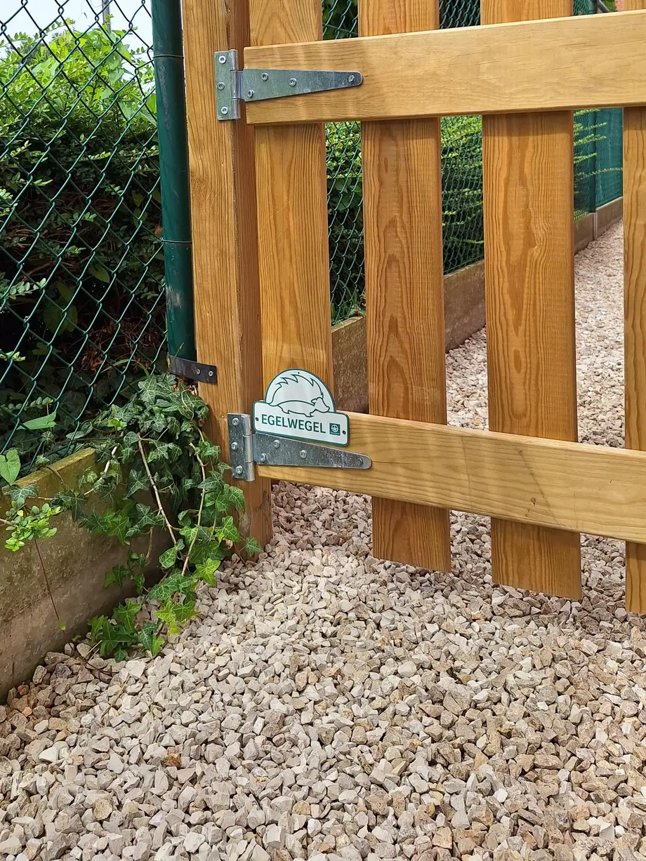 A hedgehog holiday cottage is not complete without a 'hedgehog highway'